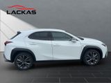 LEXUS UX 300 h F-Sport Design Technologie-Paket