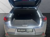 LEXUS UX 250h*F-SPORT-D*1.HD*NAVI*SHZ*CARPLAY*PDC*