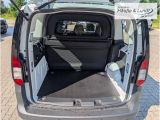 FORD Transit Connect Trend L1 FlexCab 102PS Schaltgetriebe -Heckklappe-