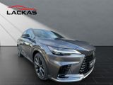LEXUS RX 450 h+ F-Sport Design PANO+360KAMERA