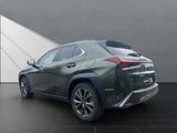 LEXUS UX 250h*FSPORT-D*1HD*ALLW.R*LEDER* 15J-GARANTIE*