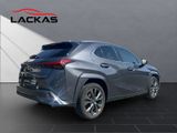 LEXUS UX 250 h*MARK LEV.MEMORY F SPORT*KEIN DESIGN*VOL