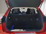 FORD Puma 1.0 EcoBoost Mild Hybrid Titanium X S/S (EURO