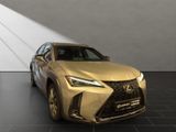 LEXUS UX 250h*F-SPORT-D.*1HD*NAVI*LEDER* 15J-GARANTIE*