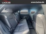 LEXUS RX 450 h+ F Sport Design Panoramedach