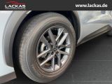 LEXUS LBX Basis*1.5*KOMFORT-PAK. SHZ*PDC*15J-GARANTIE*