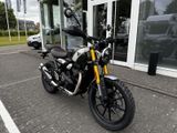 TRIUMPH Scrambler 400 X Sofort Verfügbar