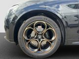 ALFA ROMEO Stelvio 2.2 Diesel 16V 154kW Q4 Panorama-Dach,AHK,Navi