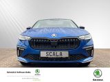SKODA Scala Klima Navi Rückfahrkamera Panoramadach