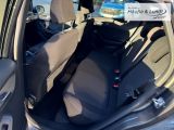 FORD Fiesta ST-Line X LED Beheizb. Frontsch. Navi