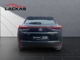 LEXUS UX 250h*LAUNCH*SHZ*CD*NAVI* 15J-GARANTIE*