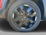 DACIA Spring Extreme Electric 65++EPH++CCS-LADEN++