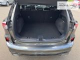 FORD Kuga Plug-In Hybrid Vignale HUD Navi Leder Digitales Cockpit Memory Sitze Soundsystem