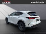 LEXUS NX 350 h 243 PS Executive *15-J ahre Garantie* I