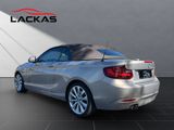 BMW 220 CABRIO 220 d*NAVI*KAMERA*LEDER