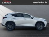 LEXUS NX 350h h 243 PS ** 15Jahre Gara ntie ** Connect