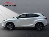 LEXUS NX 300 Style Edition*1-HAND*UNFALLFREI*
