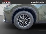 LEXUS NX 350 h 243 PS Executive Inter ieur Paket + Tec