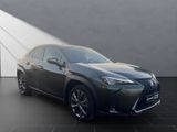 LEXUS UX 250h F-SPORT Design ALLWETTER+1.Hand