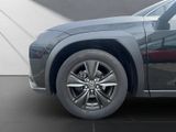 LEXUS UX 250h*LAUNCH*SHZ*CD*NAVI* 15J-GARANTIE*