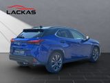 LEXUS UX 300h F Sport HuD+LEDER+MEMORY+SITZKLIMA