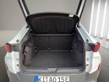 CUPRA Tavascan Endurance Navi LED Drive Paket Wärmepumpe