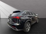 LEXUS NX 300 h E-Four Luxury *HUD*PANO*360*
