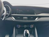 ALFA ROMEO Stelvio 2.2 Diesel 16V 154kW Q4 Panorama-Dach,AHK,Navi