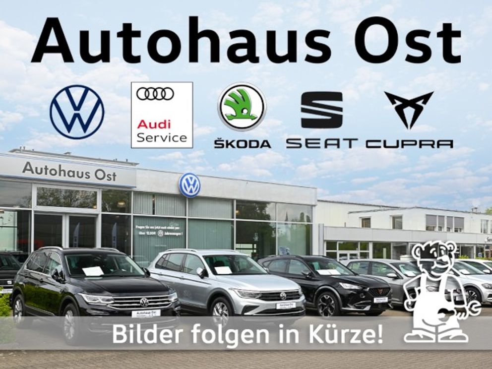 RENAULT Twizy Einparkhilfe