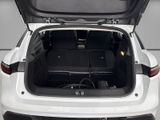 RENAULT Megane E-TECH Electric Evolution 60 kWh +Kamera+