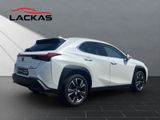 LEXUS UX 250 h*EXECUTIVE*HUD*LEDER*SCHIEBEDACH
