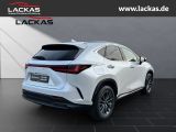 LEXUS NX 450h + Executive PANO Interieur+Techno Paket