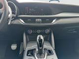 ALFA ROMEO Stelvio 2.2 Diesel 16V 154kW Q4 Panorama-Dach,AHK,Navi