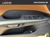 LEXUS RX 450 F Sport Design Panoramaglasdach