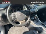 LEXUS NX300H Luxury 4x4 Panorama
