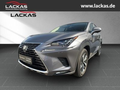 LEXUS NX 300 h Luxury 4x4 Panorama