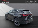 LEXUS NX 350h h 243 PS Executive *15-J ahre Garantie* 