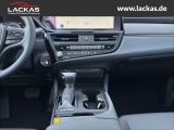 LEXUS ES 300 h*BUSINESS*SCHIEBEDACH 15J-GARANTIE*