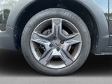 DACIA Lodgy Celebration 1.2 Stepway Cele. TCe 115 Navi Fahrerprofil SHZ Rückfahrkam. Temp