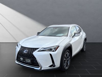 LEXUS UX 250 h Style Edition*Navi*11J.Garantie*