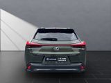 LEXUS UX 250h*F-SPORT-D*1.HD*ALLW.REIF*NAVI*SHZ*