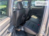 FORD Ranger Wildtrak 3,0 V6 240PS -20''Felgen-Standhzg.-