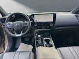 LEXUS NX 350h Overtrail E-FOUR PANORAMA+Trittbretter