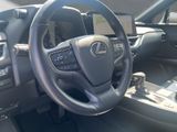 LEXUS UX 250 h*EXECUTIVE*HUD*LEDER*SCHIEBEDACH