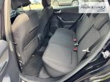 FORD Fiesta Titanium LED Beheizb. Frontsch. SHZ PDC