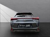 LEXUS UX 250h*FSPORT-D.*ALLW.*1HD*NAVI* 15J-GARANTIE*