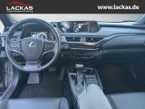 LEXUS UX 250h EU6d STYLE+*LED*ACC*CA RPLAY* LED ACC Ap
