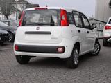 FIAT New Panda Pandina Pop