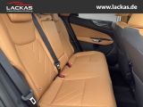 LEXUS NX 350 h 15 Jahre Garantie Exec utive + Interieu
