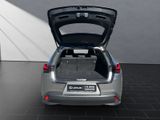 LEXUS UX 250h*STYLE*1HD*ALLW.*VELOUR* 15J-GARANTIE*